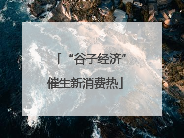 “谷子经济”催生新消费热