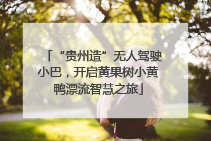 “贵州造”无人驾驶小巴，开启黄果树小黄鸭漂流智慧之旅