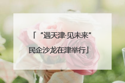 “遇天津·见未来”民企沙龙在津举行