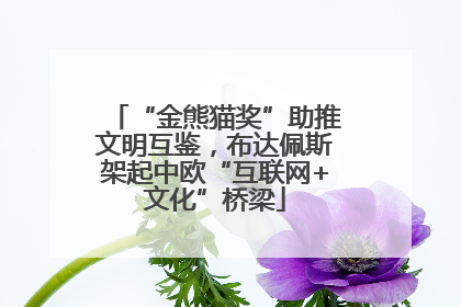 “金熊猫奖”助推文明互鉴，布达佩斯架起中欧“互联网+文化”桥梁