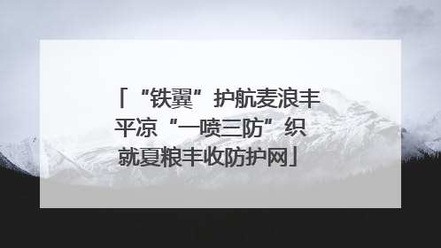 “铁翼”护航麦浪丰 平凉“一喷三防”织就夏粮丰收防护网