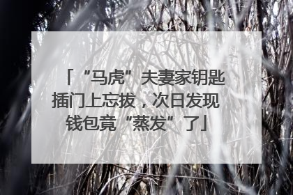 “马虎”夫妻家钥匙插门上忘拔，次日发现钱包竟“蒸发”了