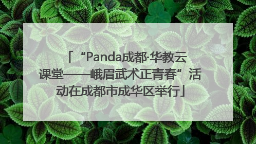 “Panda成都·华教云课堂——峨眉武术正青春”活动在成都市成华区举行