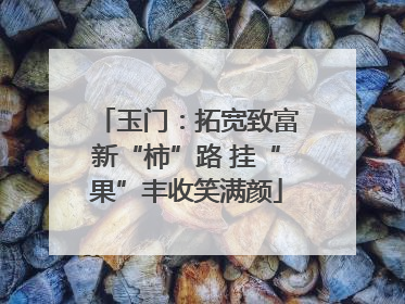 玉门：拓宽致富新“柿”路 挂“果”丰收笑满颜