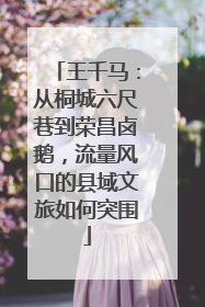 王千马：从桐城六尺巷到荣昌卤鹅，流量风口的县域文旅如何突围