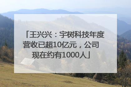 王兴兴：宇树科技年度营收已超10亿元，公司现在约有1000人