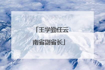 王学勤任云南省副省长