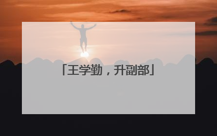王学勤，升副部