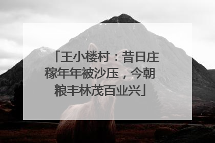 王小楼村：昔日庄稼年年被沙压，今朝粮丰林茂百业兴