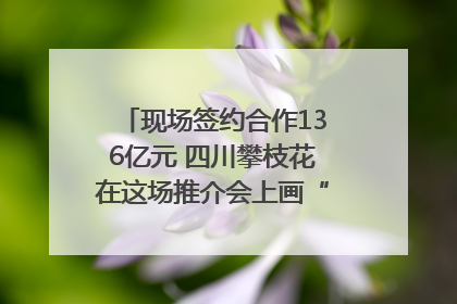 现场签约合作136亿元 四川攀枝花在这场推介会上画“图谱”列“清单”