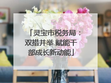 灵宝市税务局：双措并举 赋能干部成长新动能