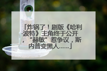 炸锅了！剧版《哈利·波特》主角终于公开，“赫敏”惹争议，斯内普变黑人……