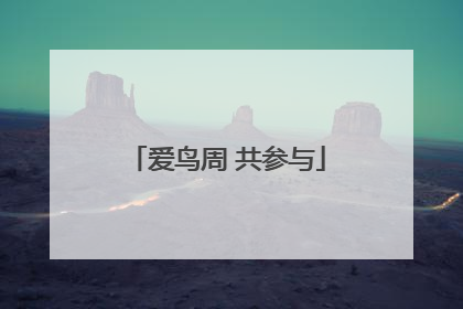 爱鸟周 共参与