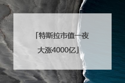 特斯拉市值一夜大涨4000亿