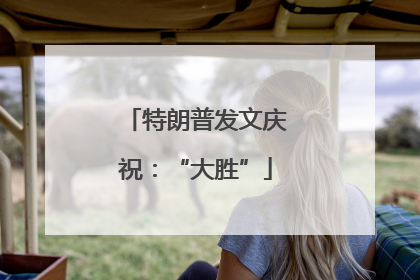 特朗普发文庆祝：“大胜”