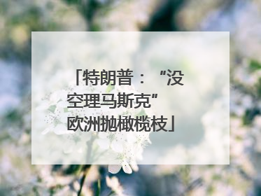 特朗普：“没空理马斯克” 欧洲抛橄榄枝