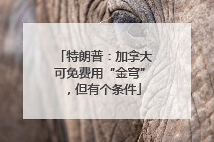 特朗普：加拿大可免费用“金穹”，但有个条件