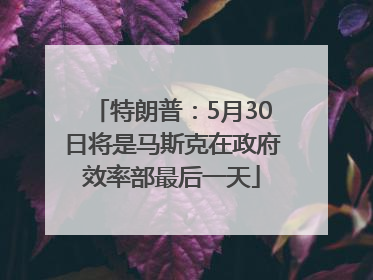 特朗普：5月30日将是马斯克在政府效率部最后一天