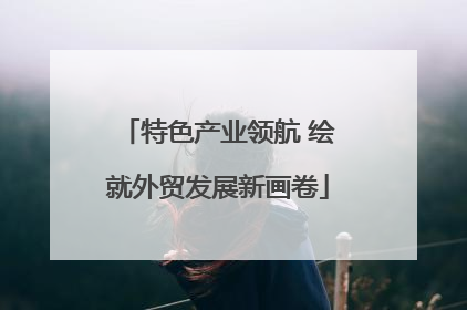 特色产业领航 绘就外贸发展新画卷