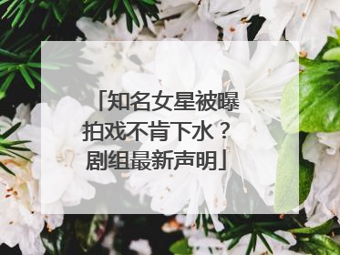 知名女星被曝拍戏不肯下水？剧组最新声明