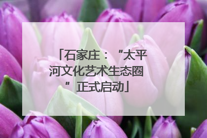 石家庄：“太平河文化艺术生态圈”正式启动
