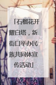石榴花开耀白塔，新街口举办民族共同体宣传活动
