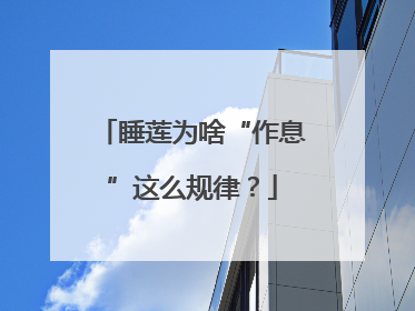 睡莲为啥“作息”这么规律？