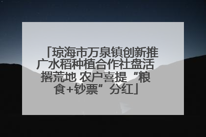 琼海市万泉镇创新推广水稻种植合作社盘活撂荒地 农户喜提“粮食+钞票”分红