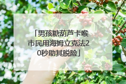 男孩糖葫芦卡喉 市民用海姆立克法20秒助其脱险