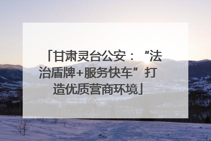 甘肃灵台公安：“法治盾牌+服务快车”打造优质营商环境