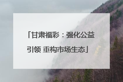 甘肃福彩：强化公益引领 重构市场生态