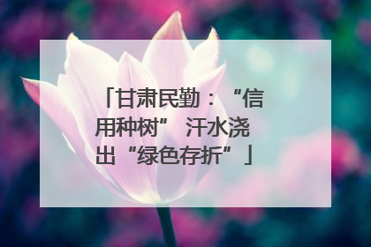 甘肃民勤：“信用种树” 汗水浇出“绿色存折”