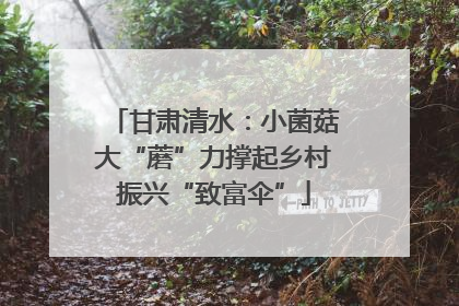 甘肃清水：小菌菇大“蘑”力撑起乡村振兴“致富伞”