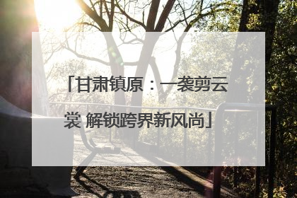 甘肃镇原：一袭剪云裳 解锁跨界新风尚