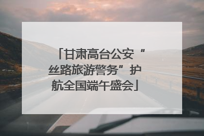 甘肃高台公安“丝路旅游警务”护航全国端午盛会
