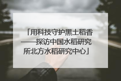 用科技守护黑土稻香——探访中国水稻研究所北方水稻研究中心