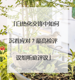 白热化交锋中如何沉着应对？最高检评议组听庭评议