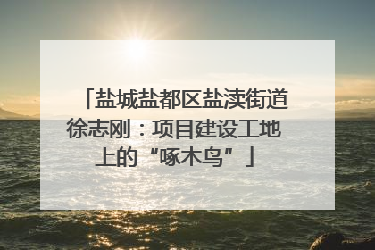 盐城盐都区盐渎街道徐志刚：项目建设工地上的“啄木鸟”
