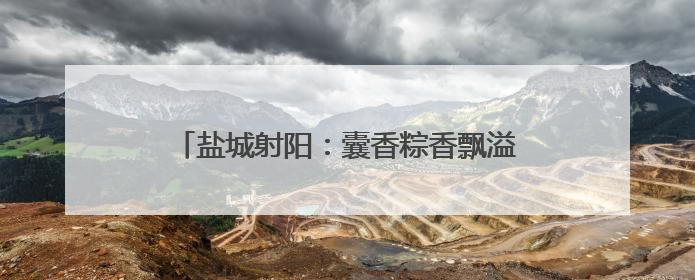 盐城射阳：囊香粽香飘溢校园 传统文化深植心田
