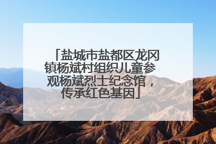 盐城市盐都区龙冈镇杨斌村组织儿童参观杨斌烈士纪念馆，传承红色基因