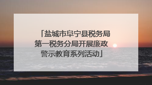 盐城市阜宁县税务局第一税务分局开展廉政警示教育系列活动