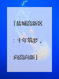 盐城高新区：十年筑梦，向高向新