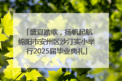 盛夏踏歌，扬帆起航 绵阳市安州区沙汀实小举行2025届毕业典礼