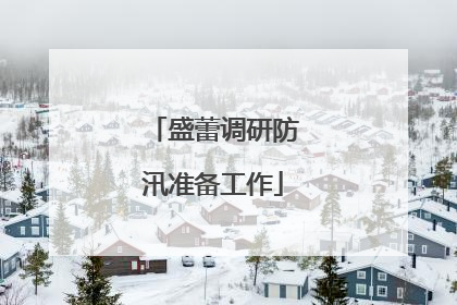 盛蕾调研防汛准备工作