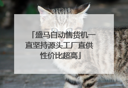 盛马自动售货机一直坚持源头工厂直供 性价比超高