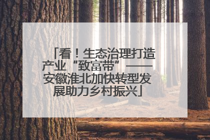 看！生态治理打造产业“致富带”——安徽淮北加快转型发展助力乡村振兴