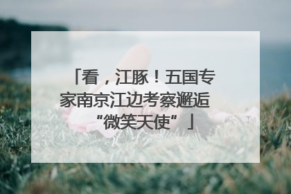 看，江豚！五国专家南京江边考察邂逅“微笑天使”