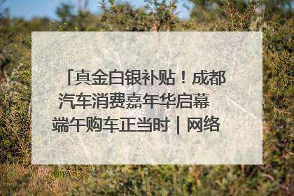 真金白银补贴！成都汽车消费嘉年华启幕 端午购车正当时｜网络中国节·端午