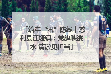筑牢“汛”防线｜慈利县江垭镇：党旗映溇水 清淤见担当