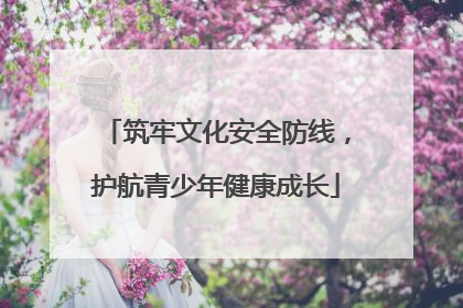 筑牢文化安全防线，护航青少年健康成长